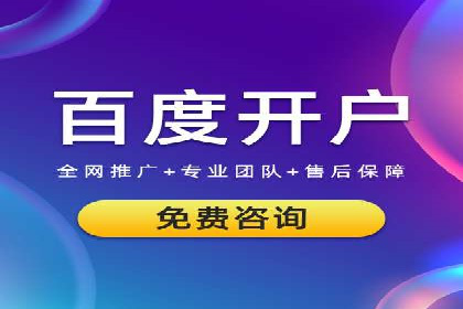 百度SEM推广案例解析：成功秘诀大公开